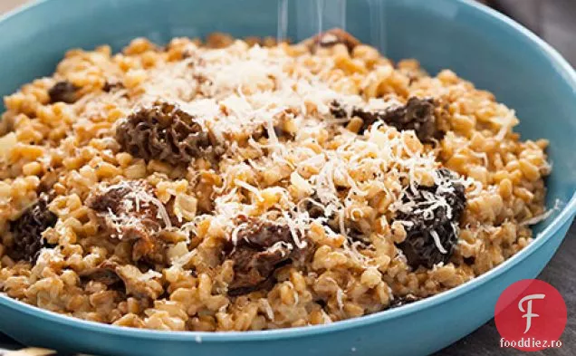Ciuperci Sălbatice Farro Risotto