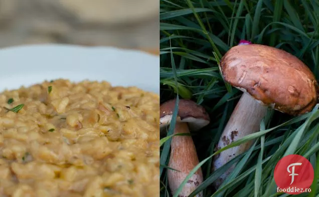 Risotto Porcini