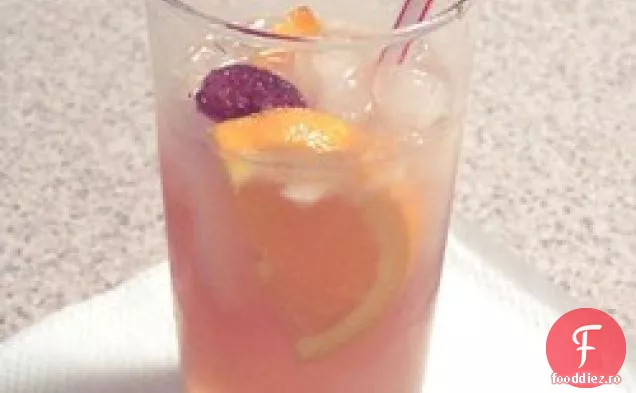 Cocktailul John Collins