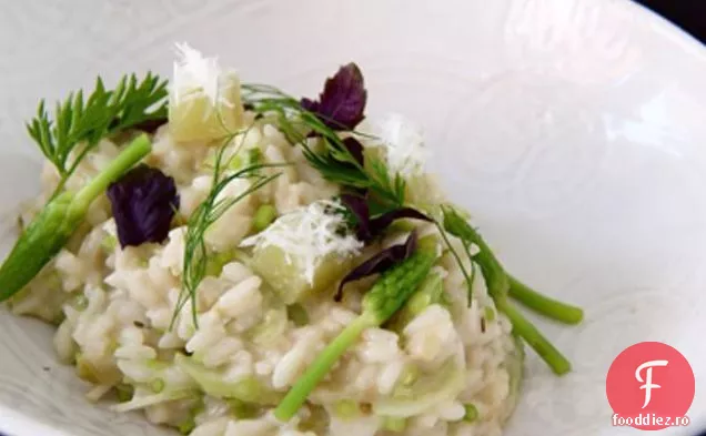 Risotto De Sparanghel Sălbatic Și Busuioc Opal Cu Roșie Verde Răcită