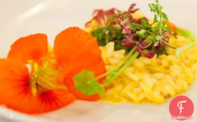 Nasturtium Risotto