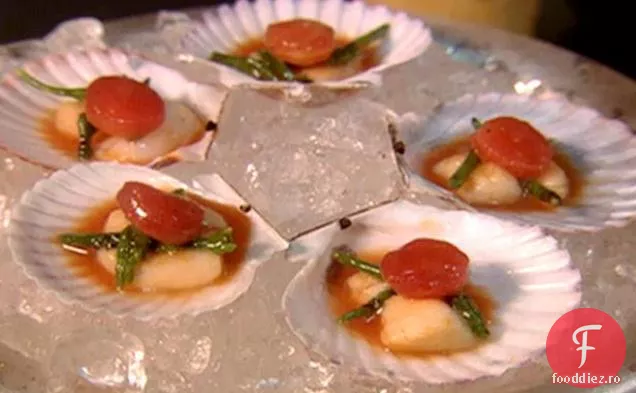 Taylor Bay Scoică Ceviche