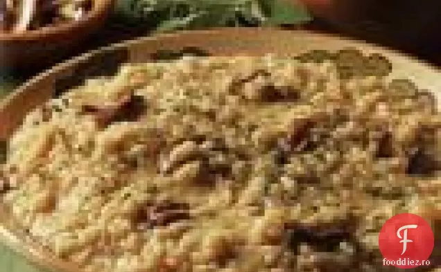 Porcini, Ceapă Caramelizată Și Risotto De Salvie