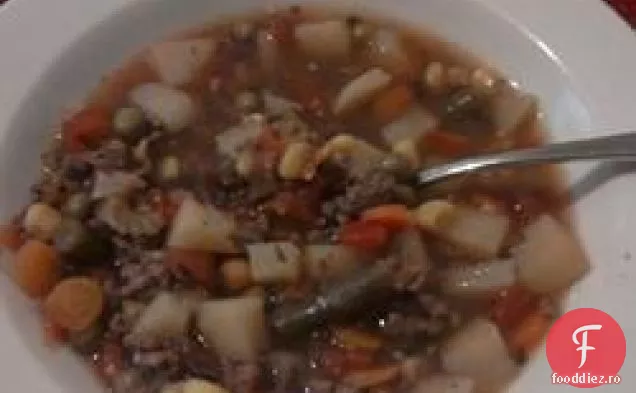 Supă de vită și legume Hobo