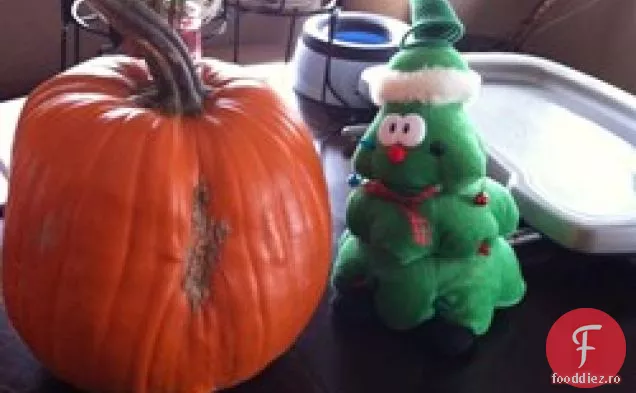 Dovleac Pâine Prăjită Franceză