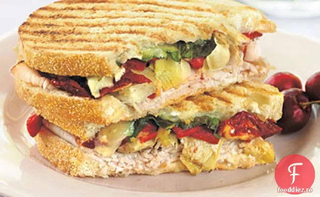 Turcia Antipasto Panini