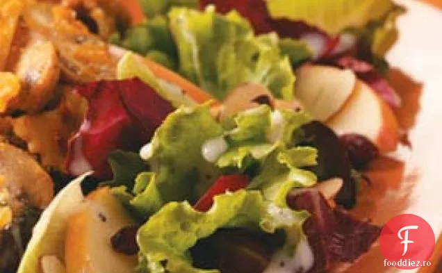 Salată Ușor Aruncată