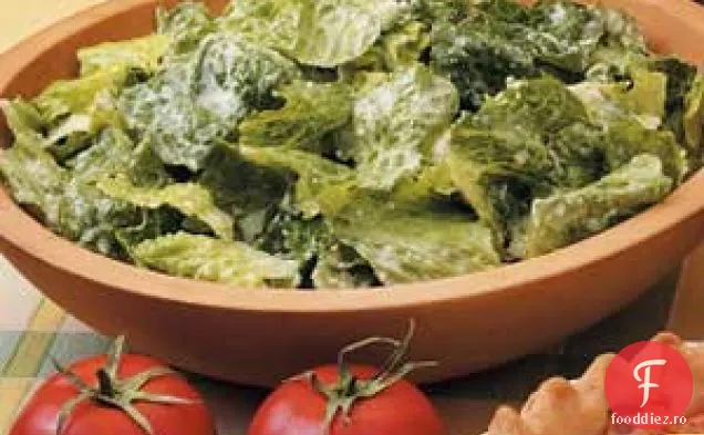 Salată Caesar Machetă