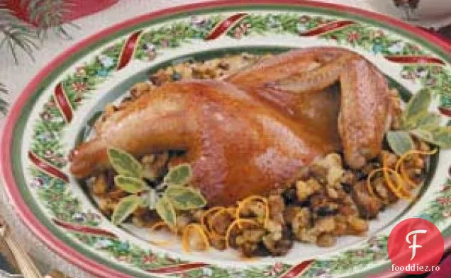 Găină Cornish cu umplutură portocalie