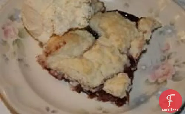 Budinca De Prune