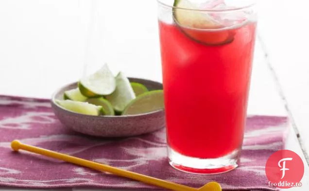 Hibiscus Tequila Cooler