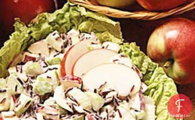 Salată De Mere De Orez Sălbatic