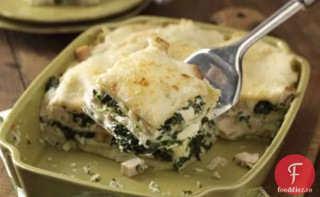 Lasagna Cu Brânză De Pui