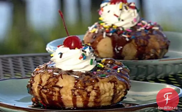 Paula' s Flyin' Fryin ' OZN-uri