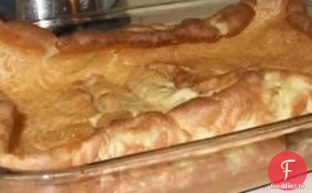 Copii Olandezi I