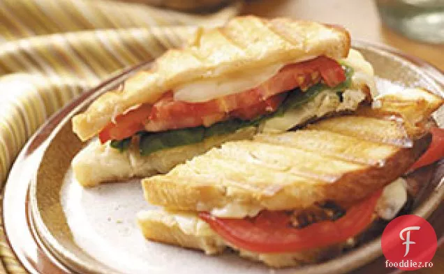 Panini De Anghinare Monterey
