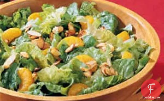 Salată În Trei Pași