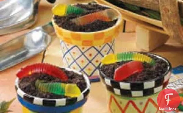 Cupe De Budincă De Murdărie