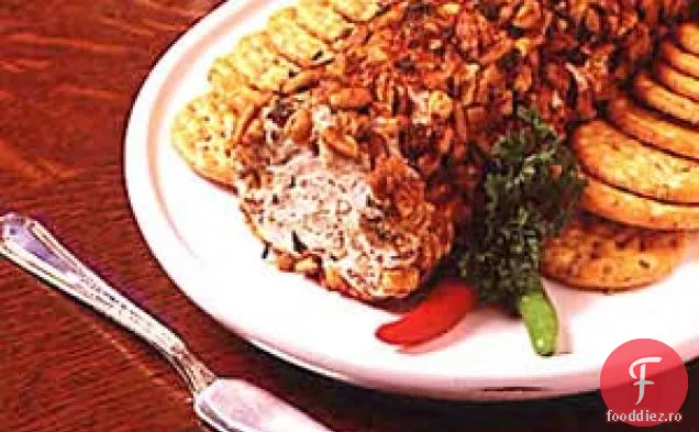 Oyster Brânză Aperitiv Jurnal