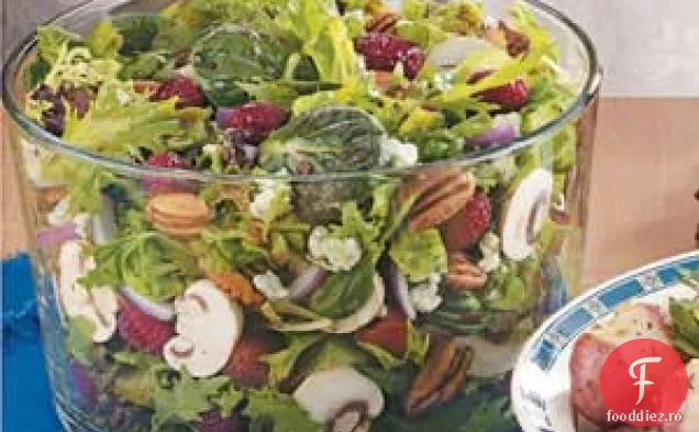 Salata Preferată De Zmeură Aruncată