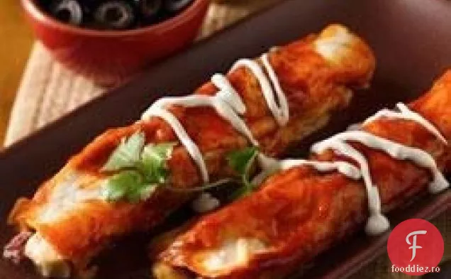Enchiladas Ușor De Pui