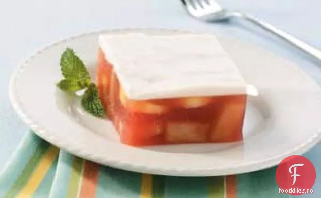 Desert De Gelatină Cu Fructe Înghețate