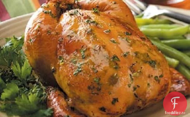 Găini Cornish La Grătar