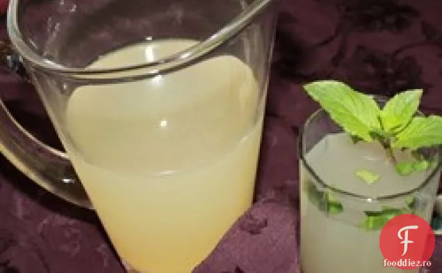 Limonadă Meyer cu mentă
