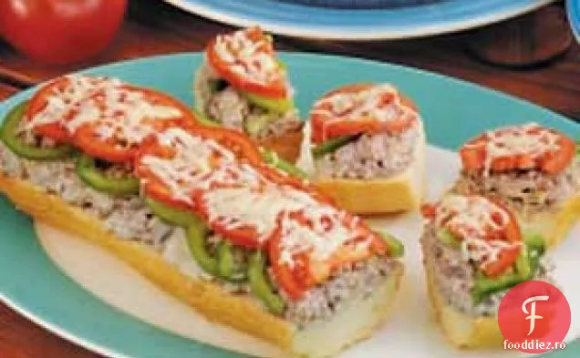 Carne De Vită Stroganoff Melt