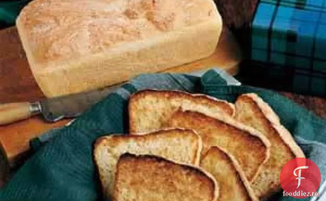 Pâine De Brioșă Engleză