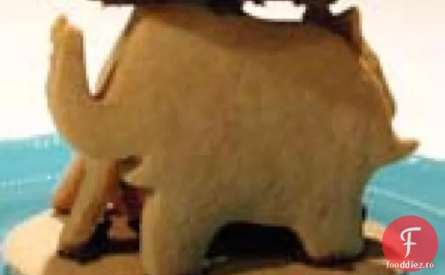 Cookie-Uri Pentru Animale