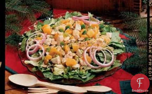 Salată De Curcan Tropical