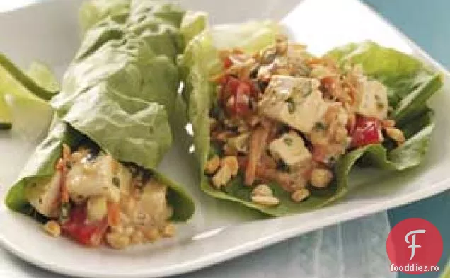 Împachetări Cu Salată De Tofu Thailandeză