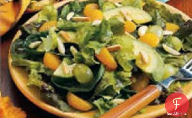 Salată Aruncată Cu Portocale Și Avocado