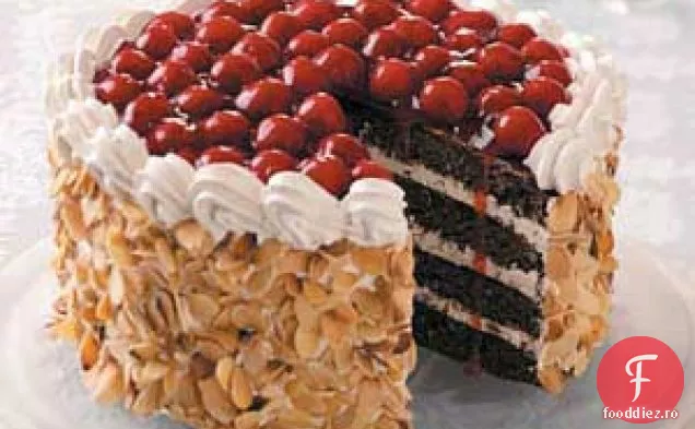 Pădurea Neagră Ciocolată Torte
