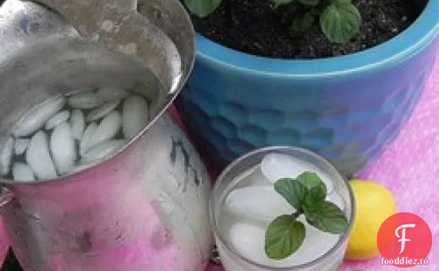 Limonadă Răcoritoare De Castraveți