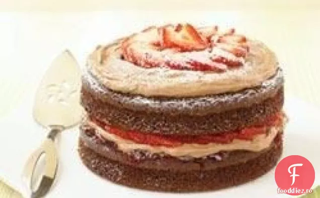 Shortcake Cu Căpșuni Cu Ciocolată Dublă