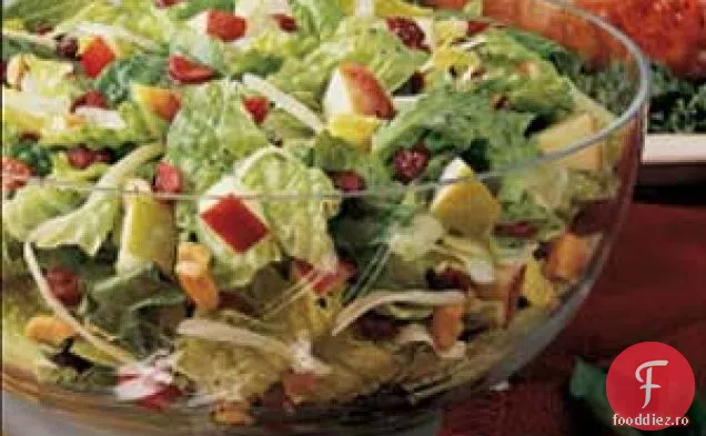 Salată Festivă Aruncată