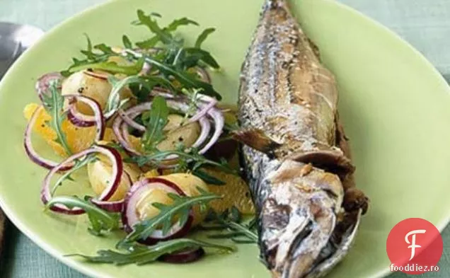 Macrou La Grătar Cu Salată De Portocale