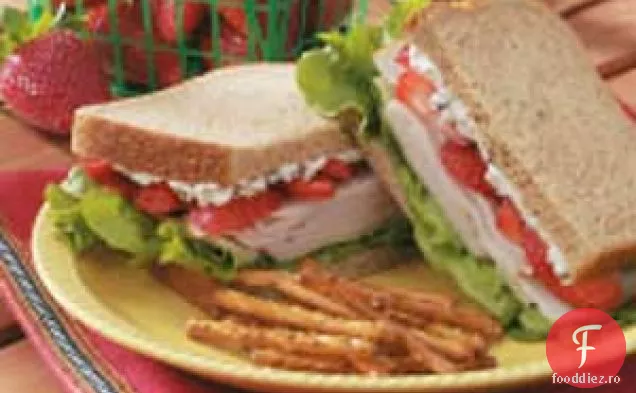 Sandwich Cu Curcan Cu Fructe De Pădure