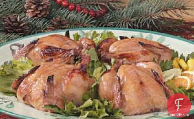 Găini De Vânat Din Cornish