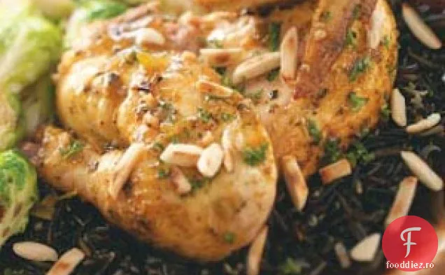 Găini De Vânat Cornish Aromate