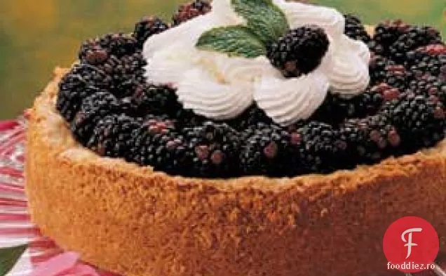 Tort De Cremă De Mure