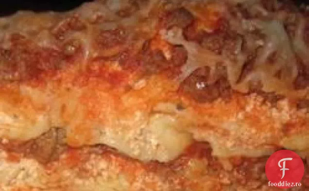 Lasagna cu aragaz lent II