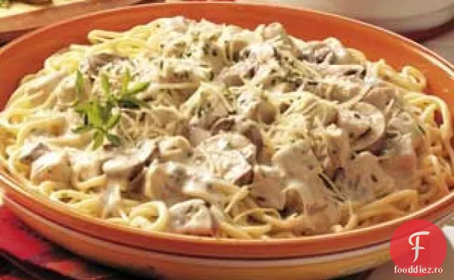 Paste Portobello Din Turcia