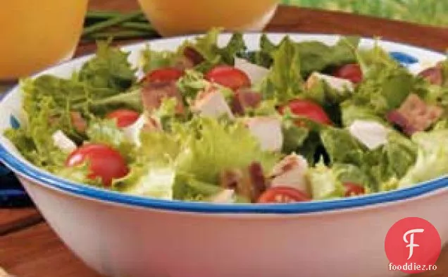 Salată De Club