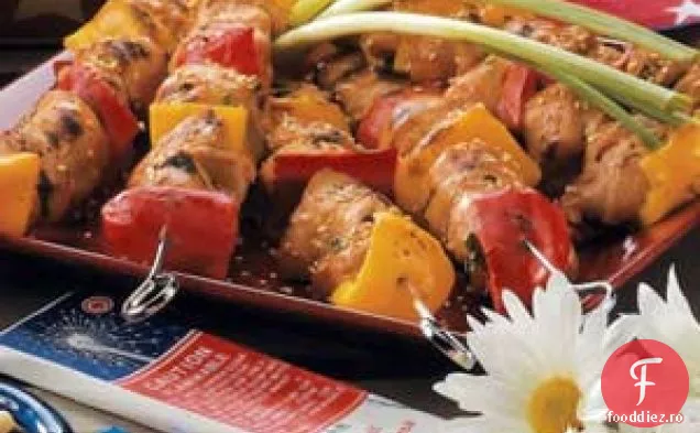 Kabobs De Pui De Susan