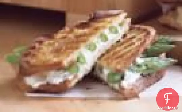Panini Cu Sparanghel Și Brânză De Capră