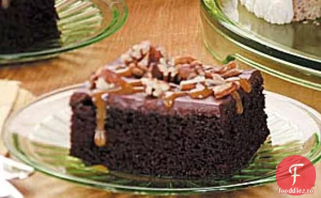 Tort Bogat De Mocha