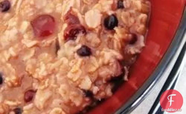 Fulgi De Ovăz Condimentați Cu Afine-Portocale